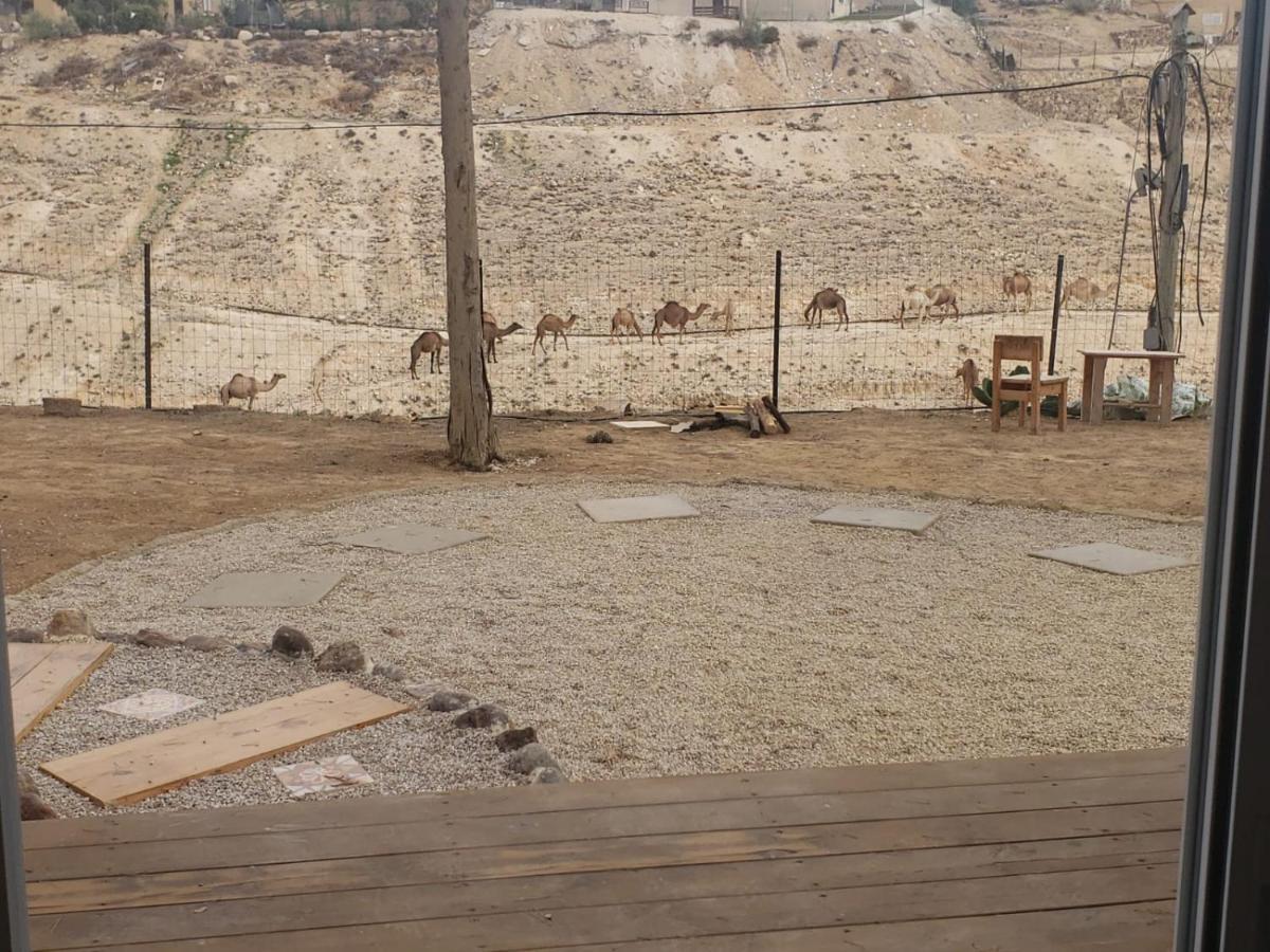 Moonlight Suite Arad צימר אור הירח, ערד Exterior photo